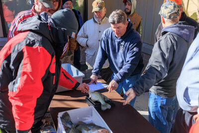 A fisherman lays his fish on a scale during Nanticoke Conservation Club's Ice Fishing Derby at Frances Slocum State Park in Wyoming, PA.