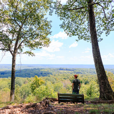 Chestnut Mountain Nature Preserve image