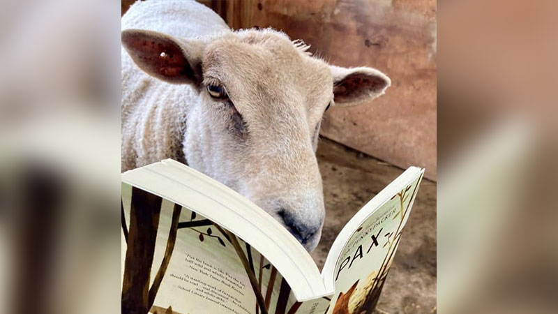 Storytime & Toddler Tour image