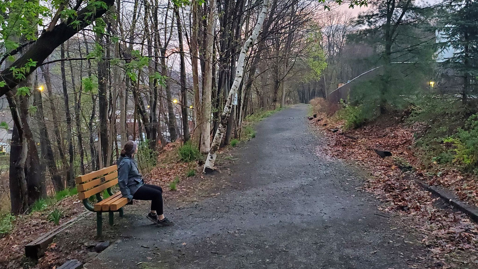 A woman sits on a bench on the Back Mountain Trail in Shavertown, PA.