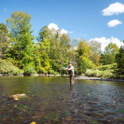 White Mills River Access Park image