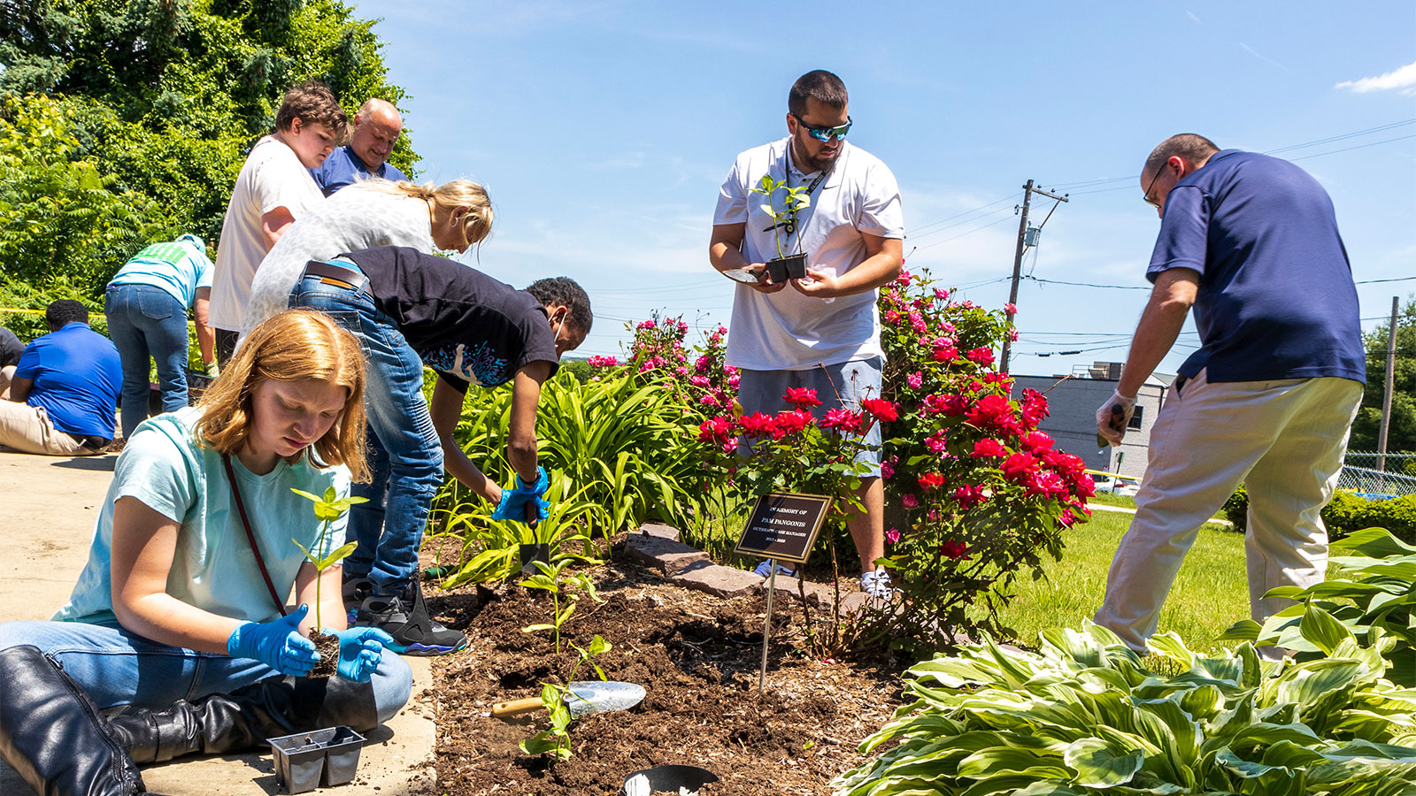 Keep Scranton Beautiful with Scranton Tomorrow! image