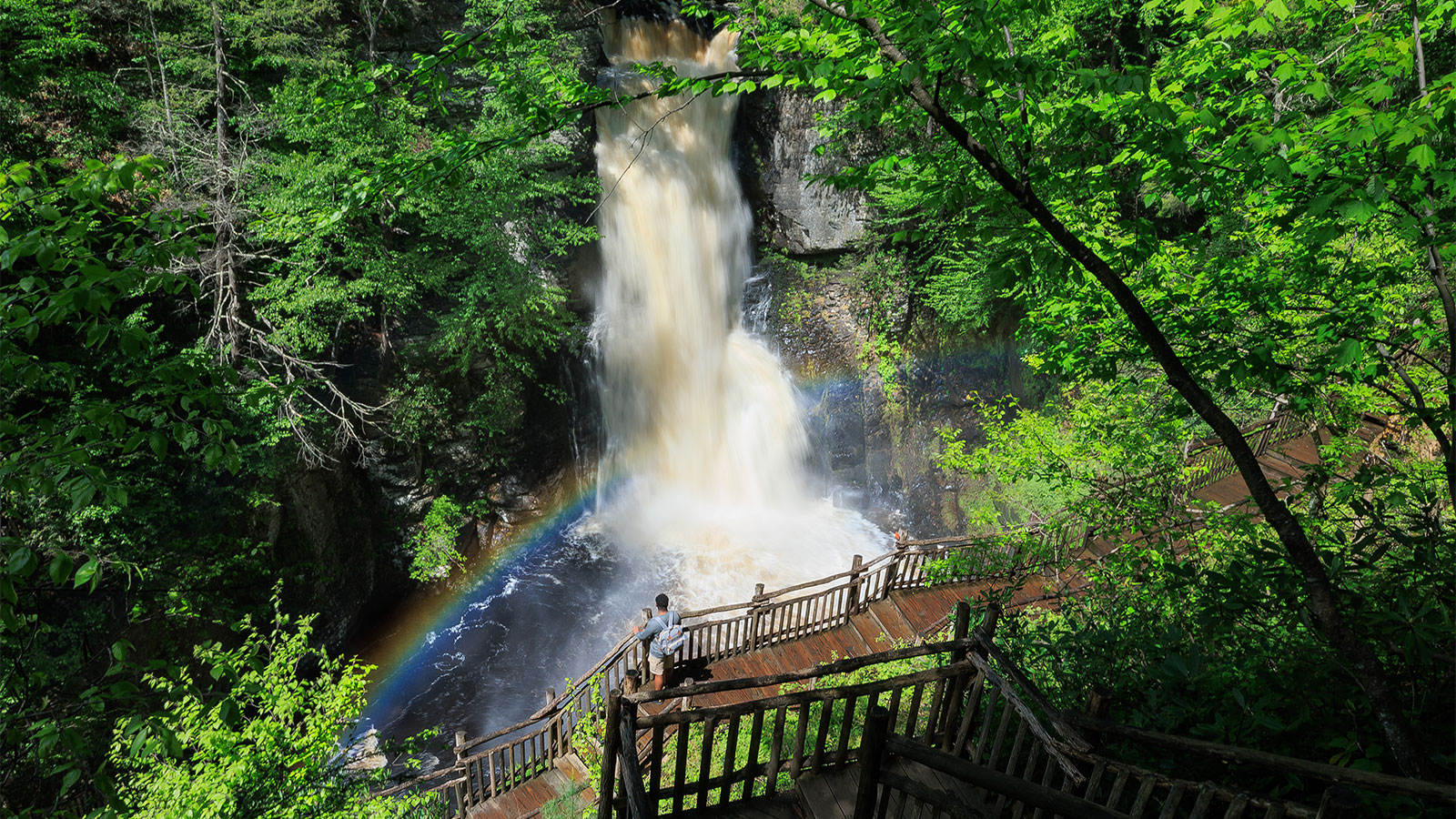 Man looking at main waterfall with rainbow going through it on a spring day at Bushkill Falls in Bushkill, PA.