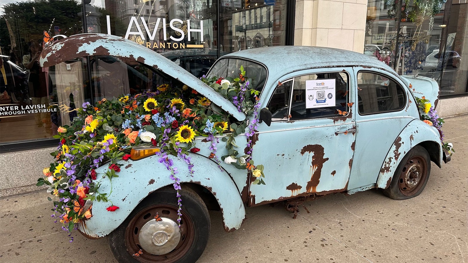 Something Wonderful is Blooming in Downtown Scranton! image