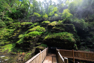 A misty, mossy gorge at Bushkill Falls in Bushkill, PA.