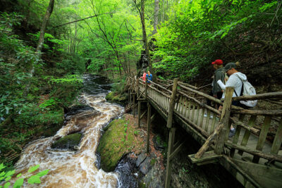 Hikers peering over a railing at the roaring water at Bushkill Falls in Bushkill, PA.