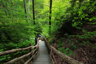 A walkway at Bushkill Falls in Bushkill, PA.
