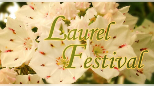 A graphic with mountain laurel flowers. Text reads