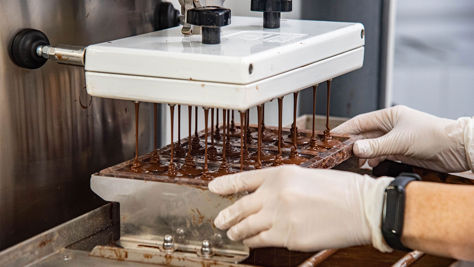 Free Chocolate & Coffee Factory Tours at Moka Origins Image