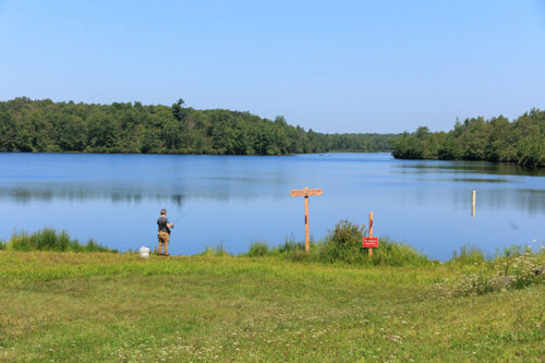 A boy fishes from shore in Tobyhanna State Park in Tobyhanna, PA.