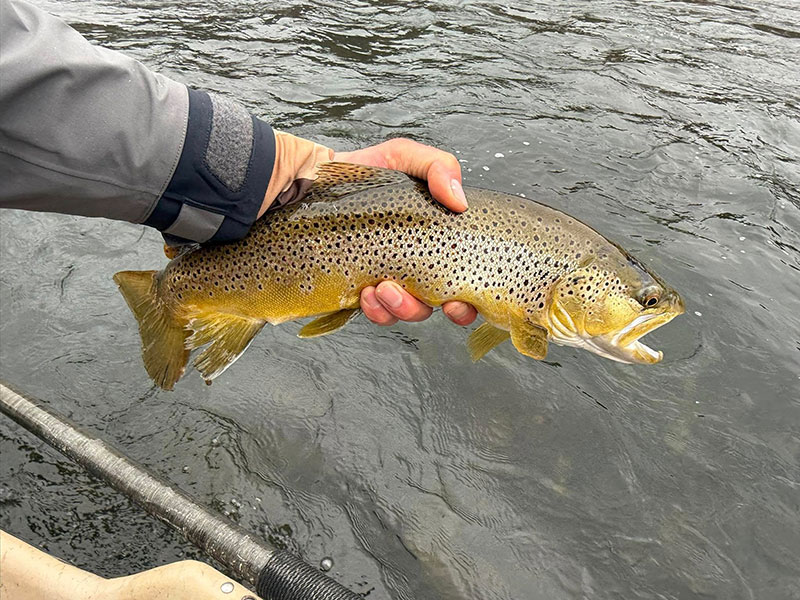 Sweetwater Guide Service LLC image