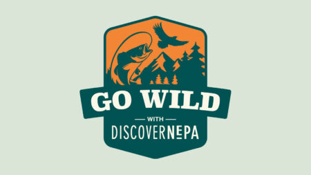 GO WILD with DiscoverNEPA logo