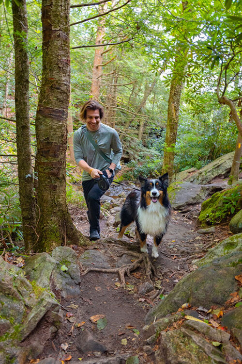 Man and dog hiking on the Shades of Death Trail at Hickory Run State Park in White Haven, PA.