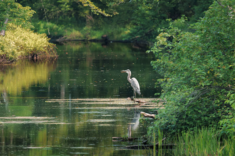Waterfront Park image