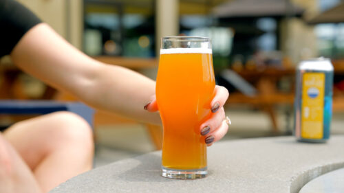 A pint of Party Cove tropical IPA on the patio at Wallenpaupack Brewing Company