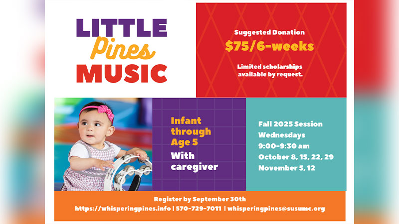Little Pines Music Music Program image