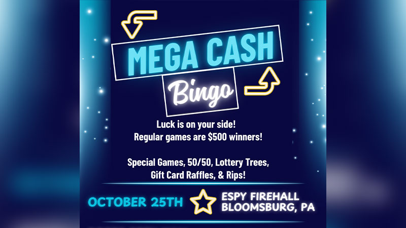 MEGA Cash Bingo image