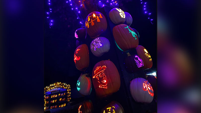 Illuminated carved pumpkins at The Electrifying Jack O’ Lantern Experience in Gilbert, PA.