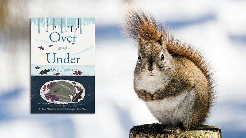 Where Do the Animals Go When It Snows? image