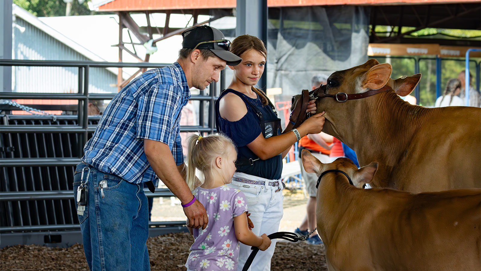 A teenager holds a cow by the reigns alongside a man and little girl