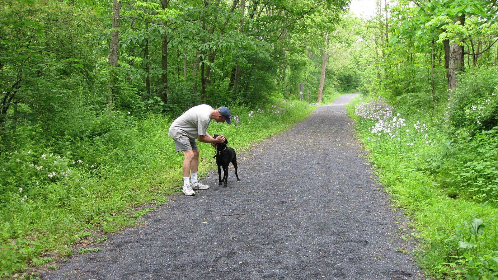A man and his dog walk along a trail at Swatara State Park in Pine Grove, PA.