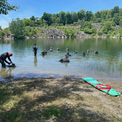 Like ‘da Fish image