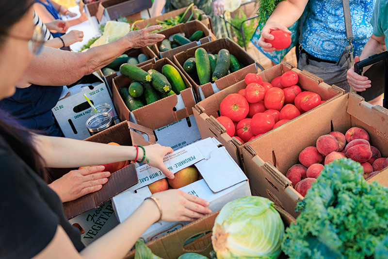 Volunteers and visitors' hands exchange fresh produce at Food Dignity Movement's "Pay What You Can, Take What You Need" Farm Stand Distribution at The Lands at Hillside Farms in Shavertown, PA.