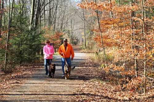 A man in an orange coat and a woman in a bright pink jacket walk their dogs along a tree-lined trail in Swatara State Park in Pine Grove, PA.