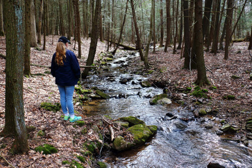 A woman takes in the peaceful view of a stream at Swatara State Park in Pine Grove, PA.