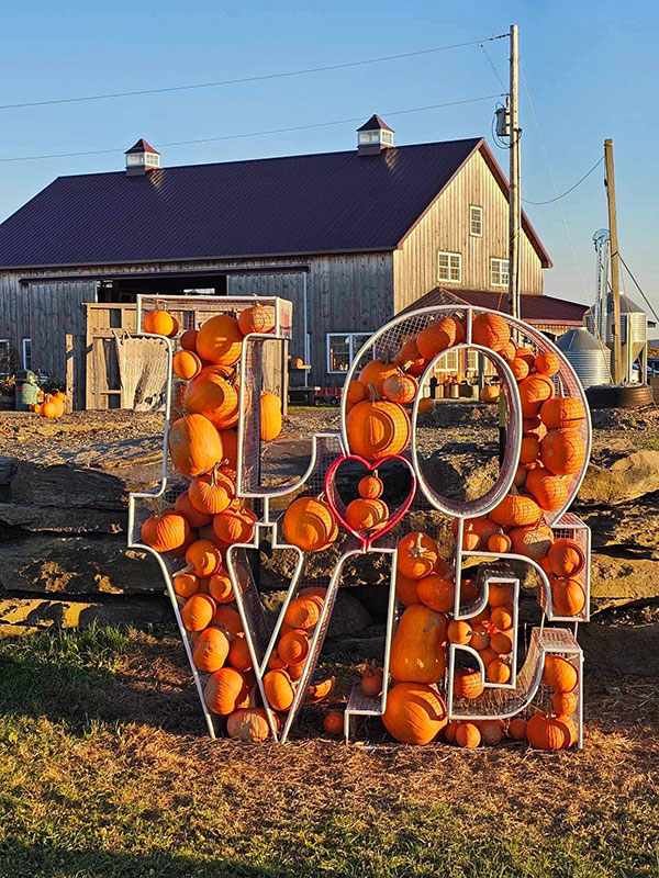 A sign made from pumpkins reading "LOVE" at Brown Hill Farms in Tunkhannock, PA.