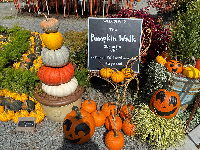 A view of the start of the Pumpkin Walk at Creekside Gardens in Tunkhannock, PA.