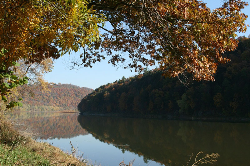A view of the Susquehanna River during the fall.