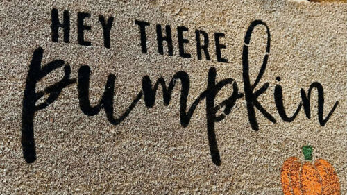 Graphic for the Fall Coir Mat Workshop