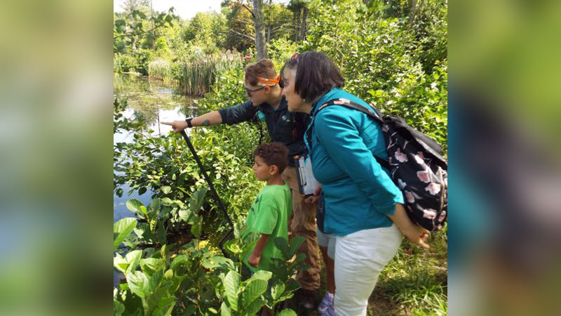 Harvest Family Camp Weekend image