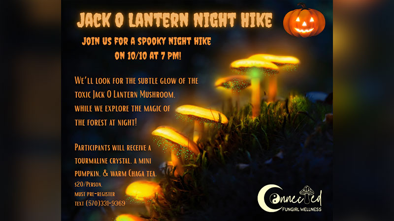 Jack O' Lantern Night Hike image