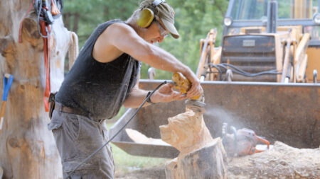 Chainsaw Carving with Dennis Beach image