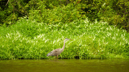 Pocono Environmental Education Center image