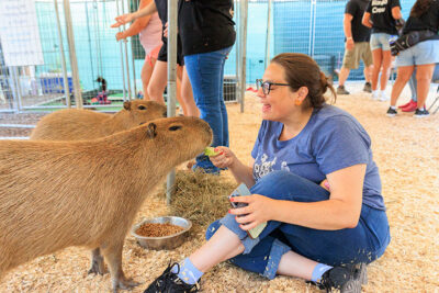 A woman feeds a capybara at the Luzerne County Fair in Dallas, PA.