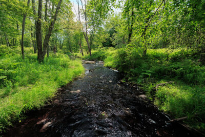 A stream flows through the forest at Tobyhanna State Park in Tobyhanna, PA.