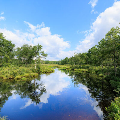 Tobyhanna State Park image