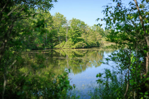 A view of the lake at Tobyhanna State Park in Tobyhanna, PA.