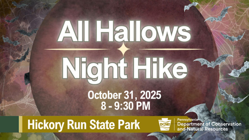 All Hallows Night Hike image
