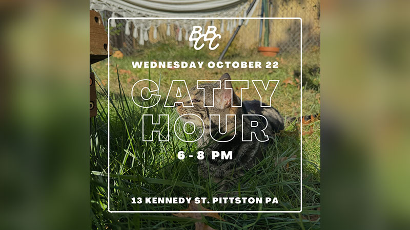 Catty Hour image