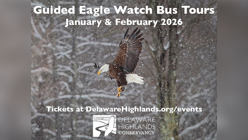 A promotional flyer for the Delaware Highlands Conservancy's annual winter Eagle Watch Bus Tours. Includes a photo of a bald eagle flying through the snowy landscape.