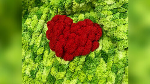 Grinch Blanket from Back Mountain Makery in Dallas, PA.