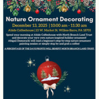 Flyer for the Nature Ornament Decorating workshop