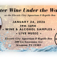 Winter Wine Under the Waves image
