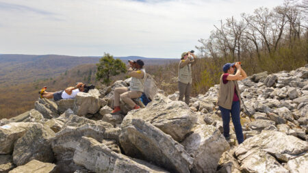 Where to Go Birding in NEPA image
