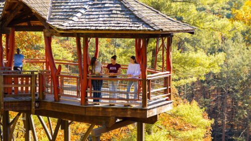 Visitors enjoy the view from the Dave Wenzel Tree House at Nay Aug Park in Scranton, Pennsylvania, surrounded by colorful fall foliage.