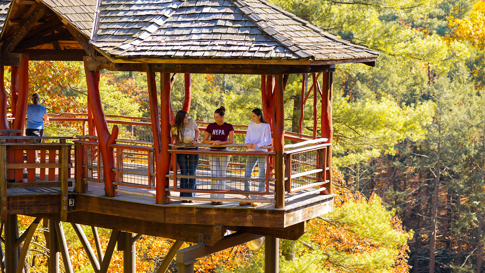 Visitors enjoy the view from the Dave Wenzel Tree House at Nay Aug Park in Scranton, Pennsylvania, surrounded by colorful fall foliage.